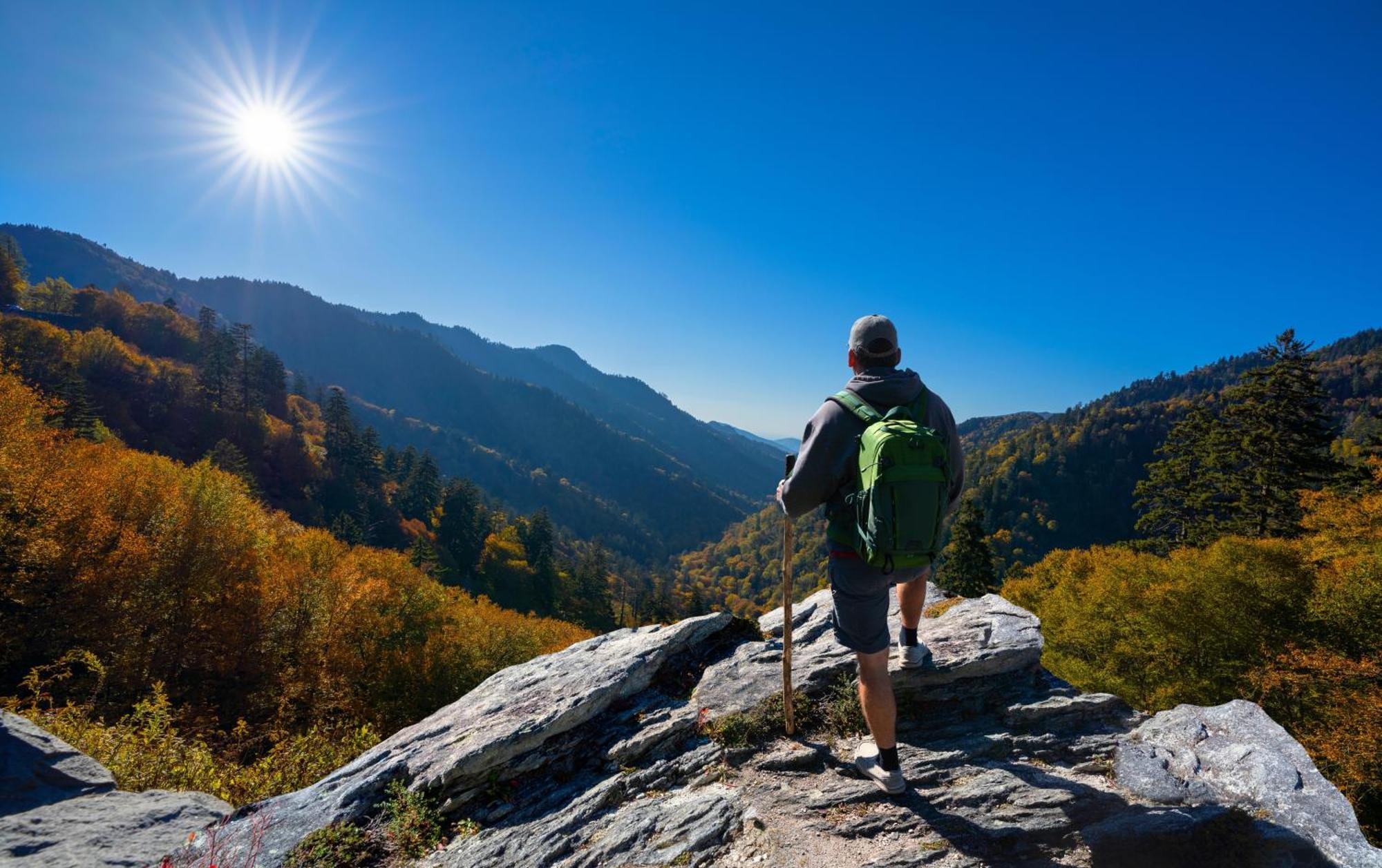 Time To Cuddle, Wifi, Near Pigeon Forge, 1089 Free Tickets Each Paid Day, Dollywood And More Экстерьер фото