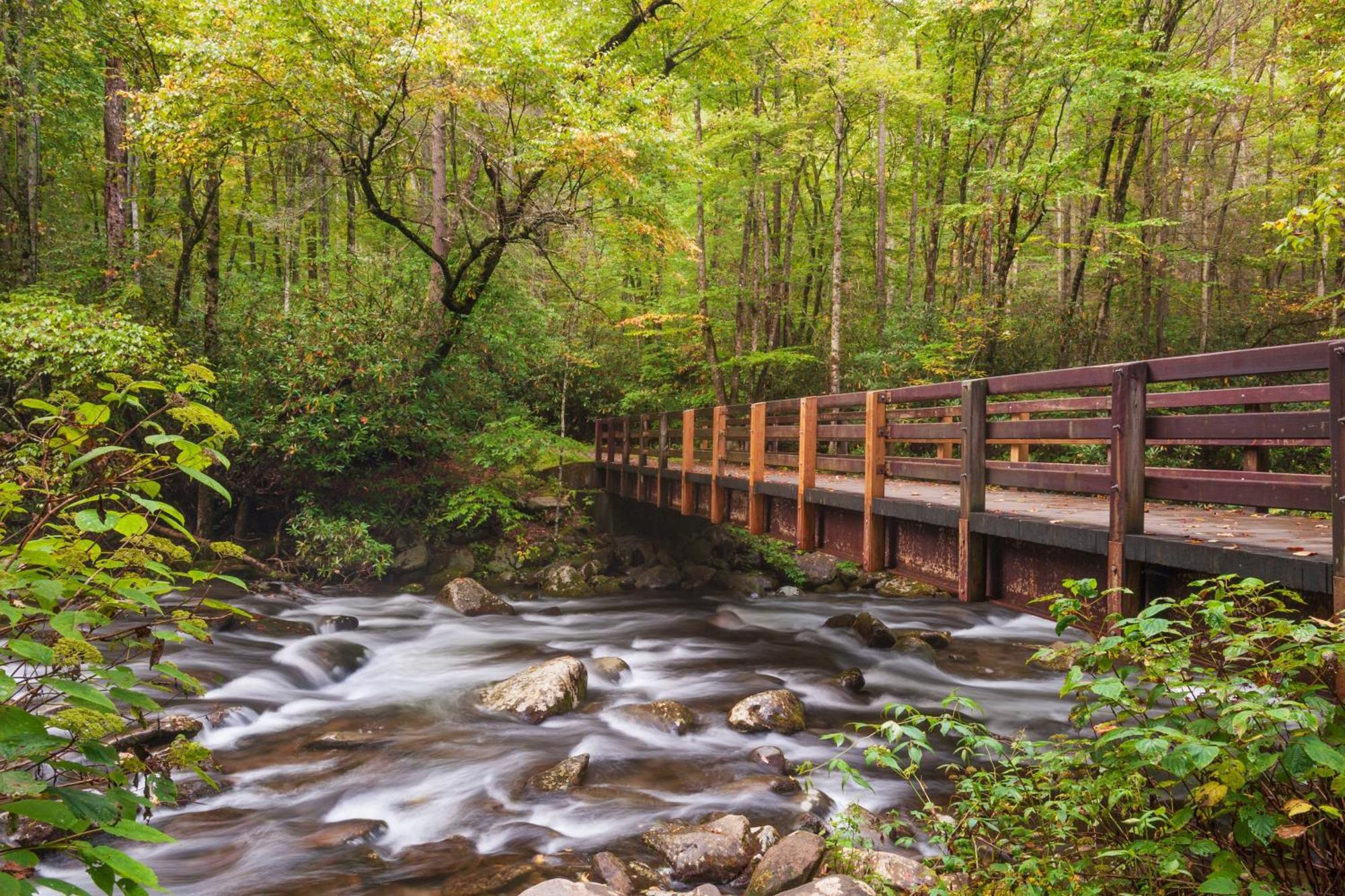 Time To Cuddle, Wifi, Near Pigeon Forge, 1089 Free Tickets Each Paid Day, Dollywood And More Экстерьер фото