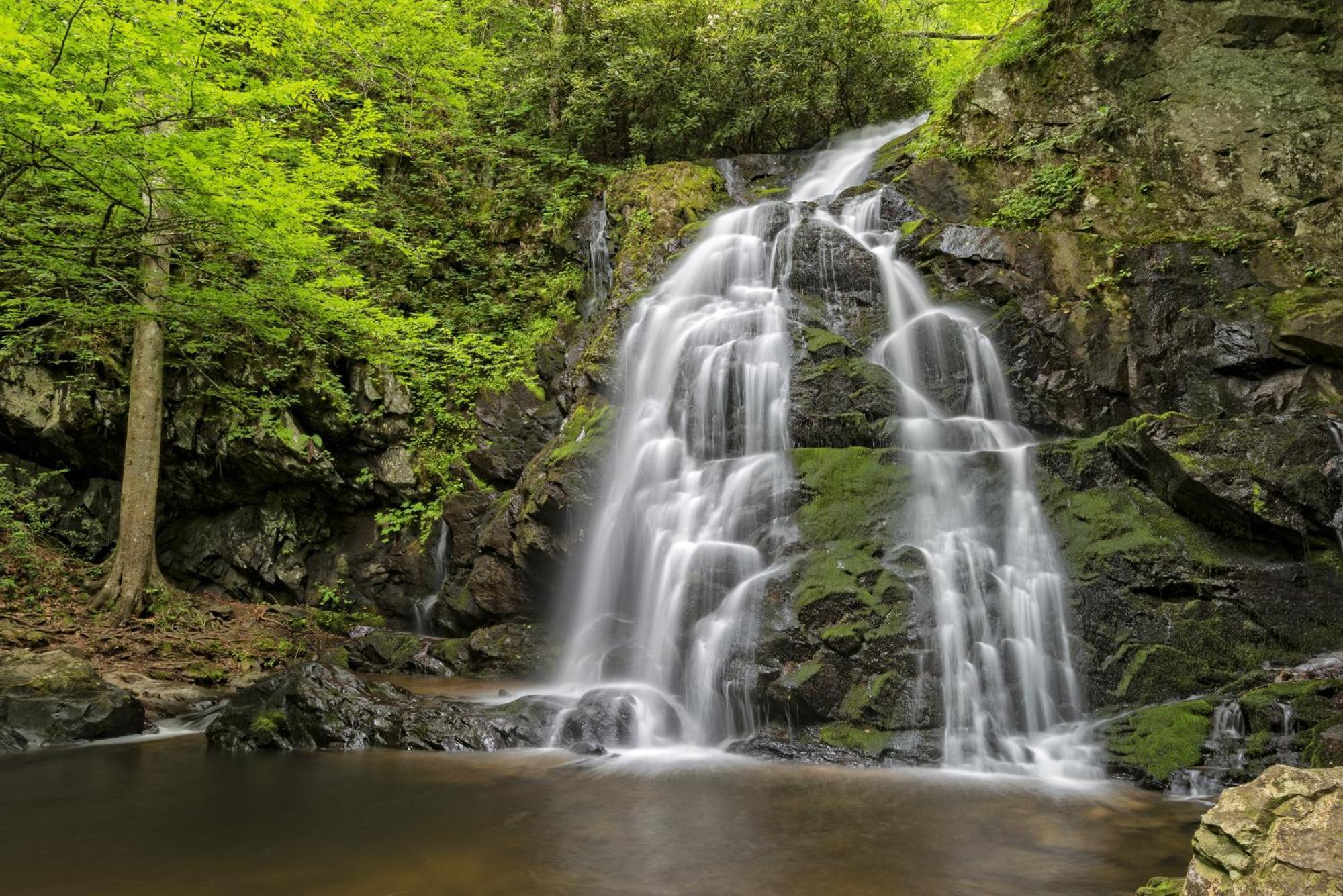 Time To Cuddle, Wifi, Near Pigeon Forge, 1089 Free Tickets Each Paid Day, Dollywood And More Экстерьер фото