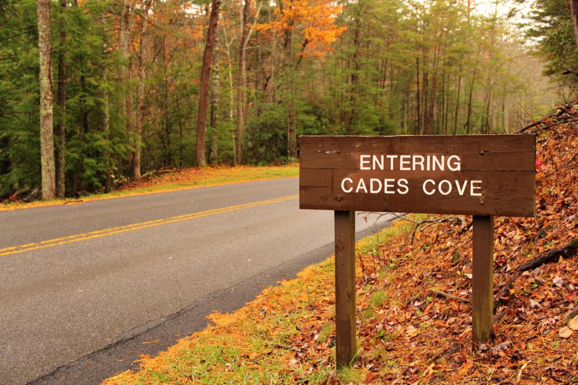 Time To Cuddle, Wifi, Near Pigeon Forge, 1089 Free Tickets Each Paid Day, Dollywood And More Экстерьер фото